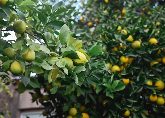 El Pozo1 Apartamento Villanueva De La Vera