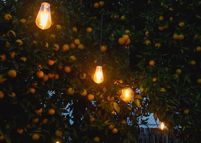 Apartamento El Pozo1